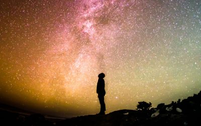 Who am I? How do I function?