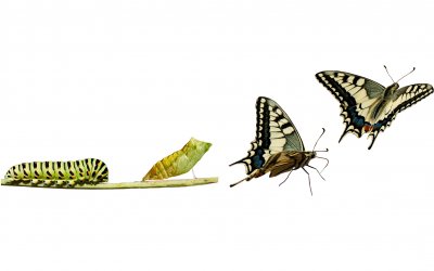 Il potere della consapevolezza – Oltre le diagnosi